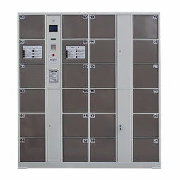 襄陽市一卡通電子存包柜哪家強(qiáng)？選擇存包柜的關(guān)鍵指南